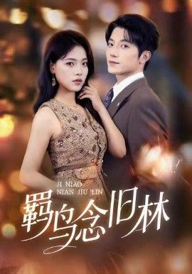 羁鸟念旧林(全集)